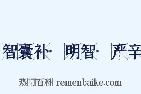智囊补·明智·严辛是什么意思的图片